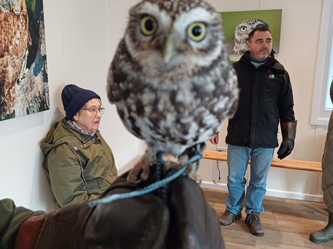 Feathers and Fur Falconry Centre-布拉克内尔必去景点