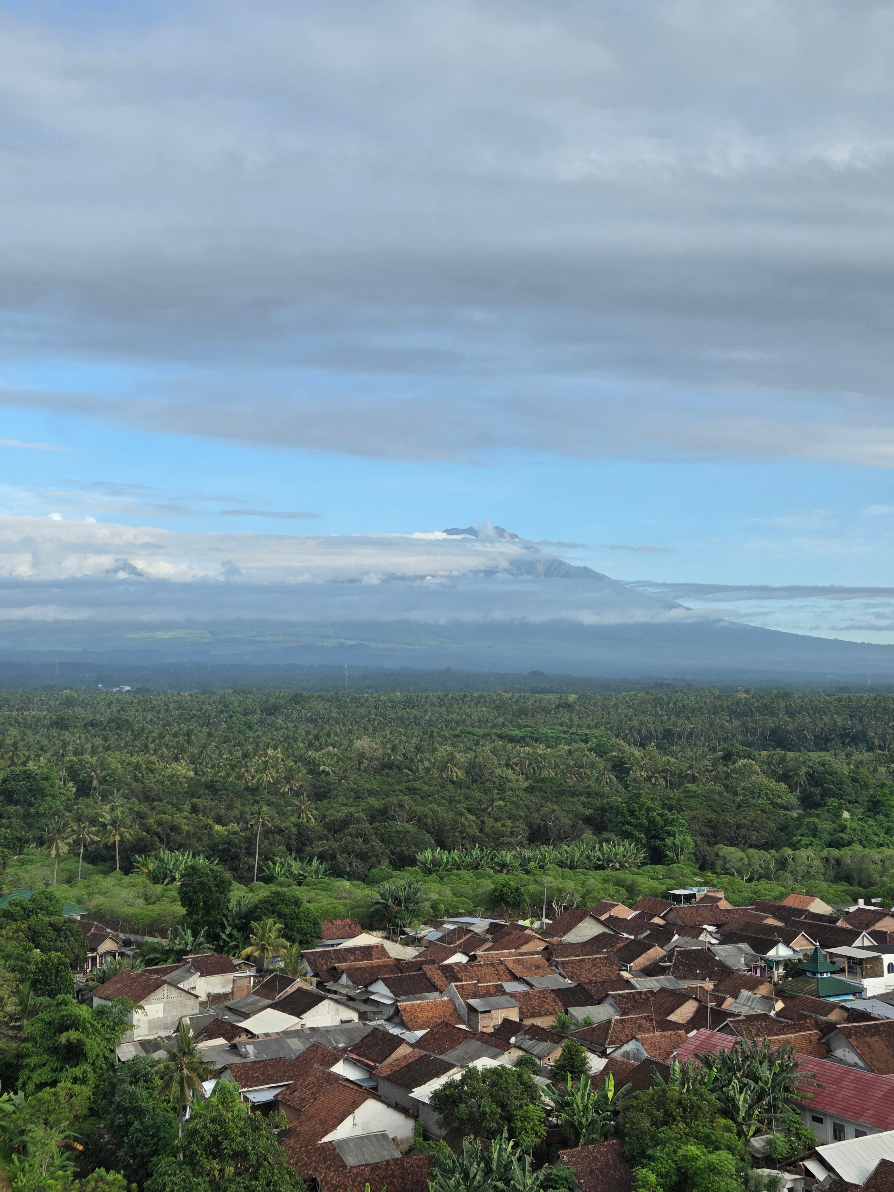 Kokoon Hotel Banyuwangi-酒店景观