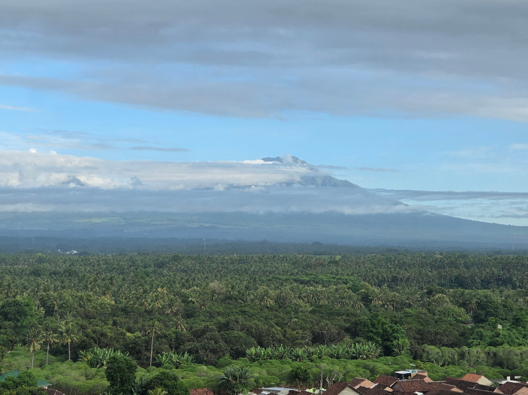 Kokoon Hotel Banyuwangi主图