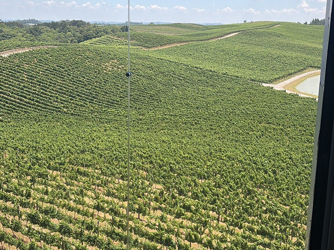 Vinicola Luiz Argenta-Flores Da Cunha必去景点