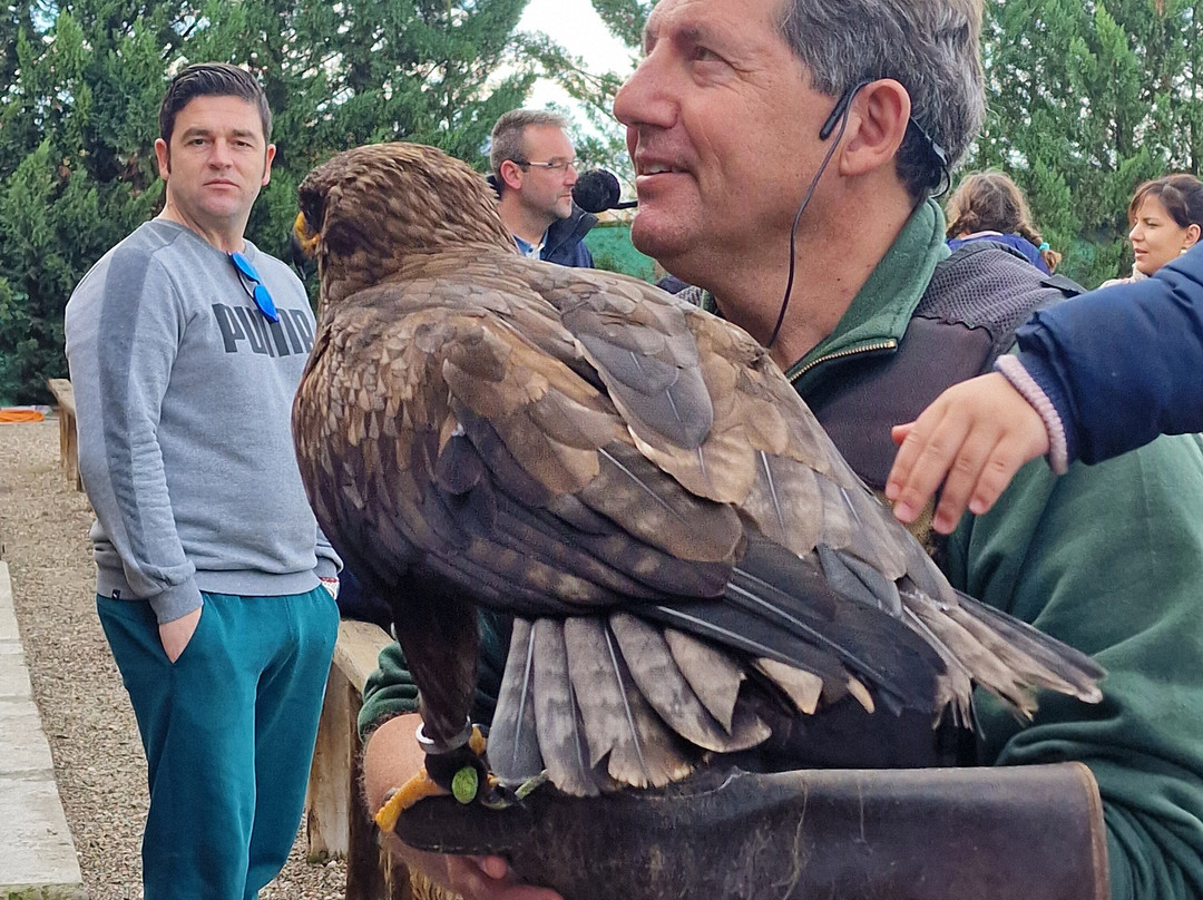 Tierra Rapaz-Calahorra必去景点