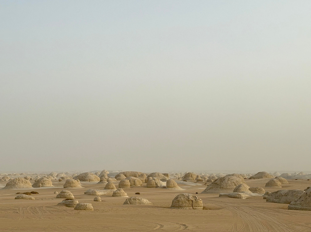 white desert travel-Bahariya Oasis必去景点