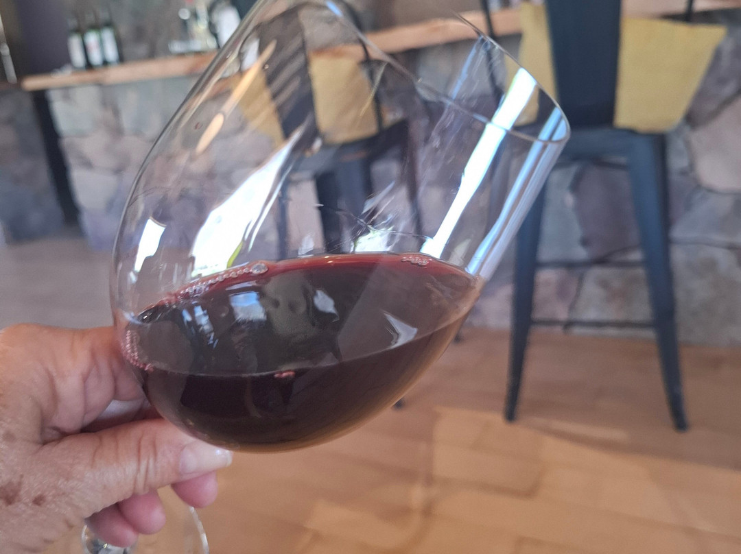 Bodega Kindgard-普尔马马尔卡必去景点