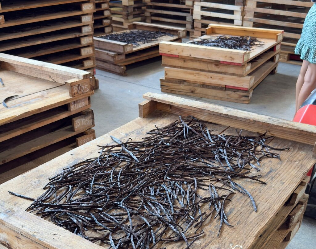 La Cooperative Provanille-Bras-Panon必去景点