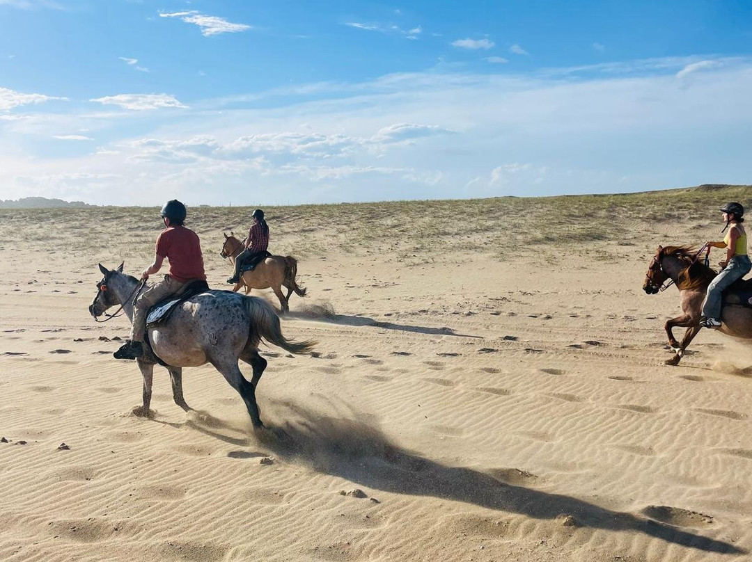 Eco Equus Cabalgatas-La Pedrera必去景点