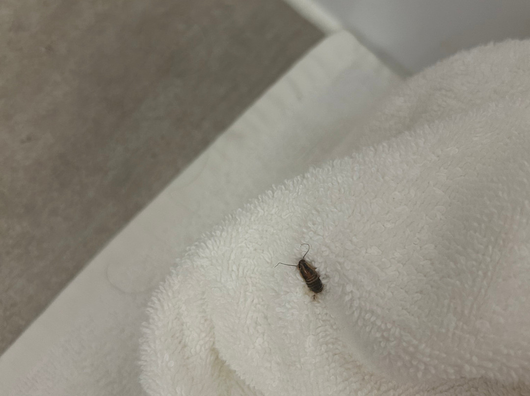 Comfort Suites Columbia主图