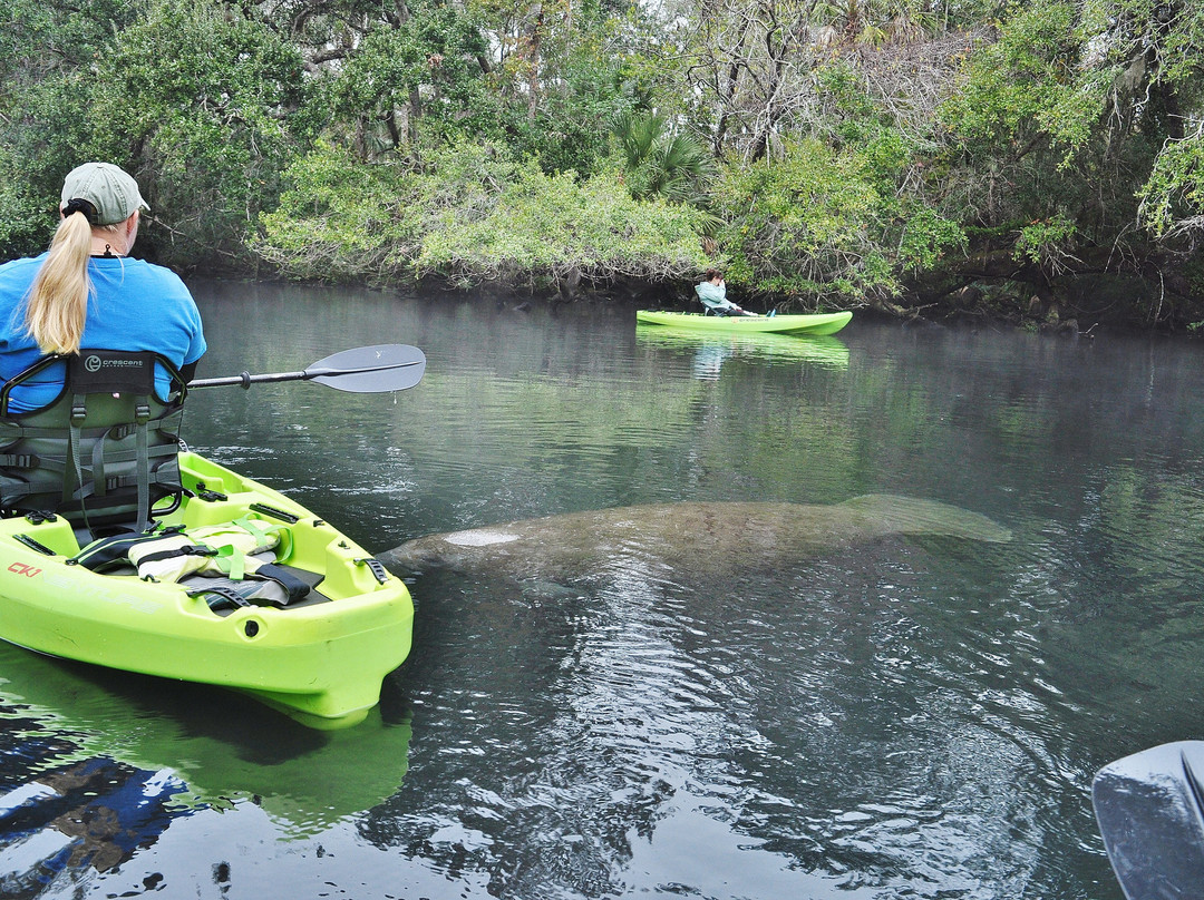 Nature Coast Eco Tours-Homosassa必去景点