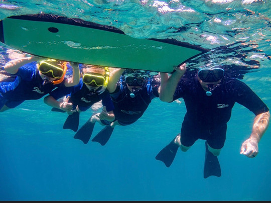 Ocean Project Maui LLC-拉海纳必去景点