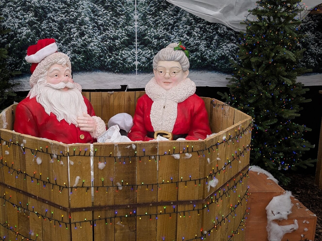 Rosebank Garden Centre-Rosebank必去景点