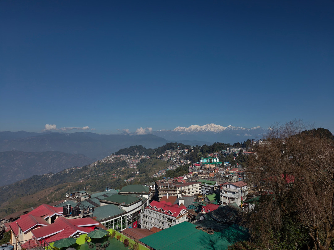 大吉岭辛克莱酒店