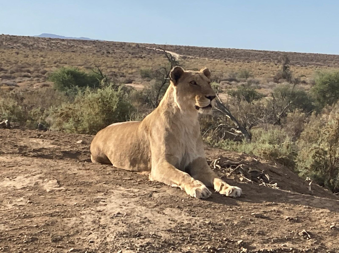 Cycle the Cape - Day Tour-鱼角必去景点