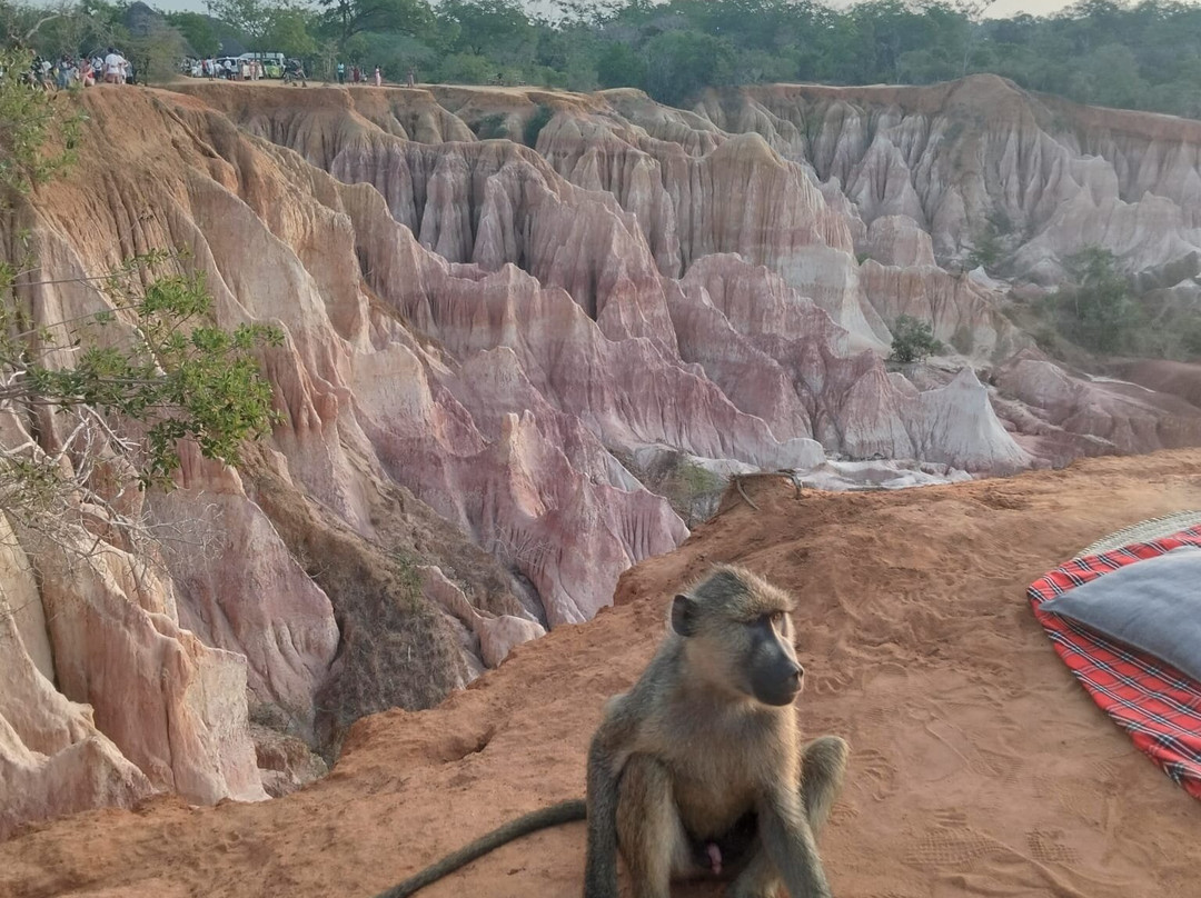 Escursioni in Kenya-瓦塔木必去景点