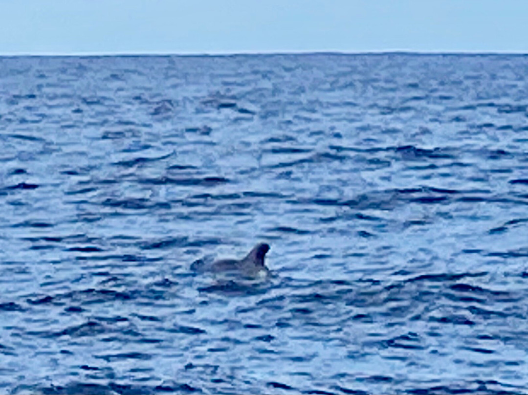 White Tenerife-奥德杰海岸必去景点