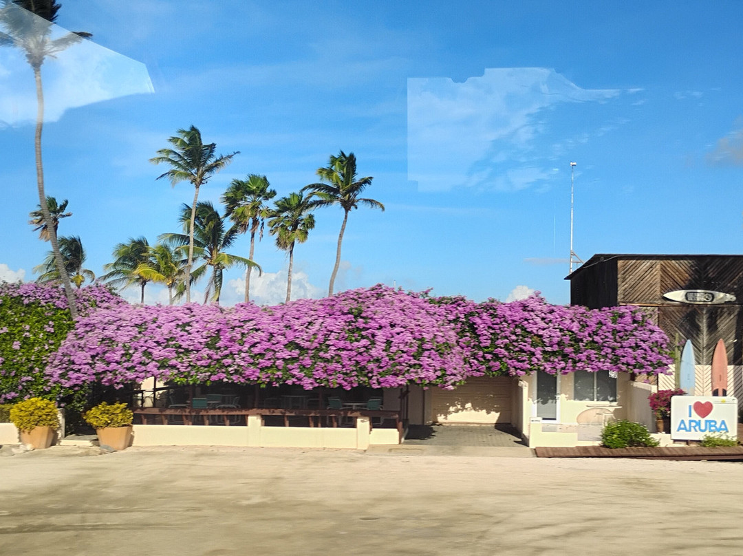 Fofoti Tours & Transfers-奥腊涅斯塔德必去景点