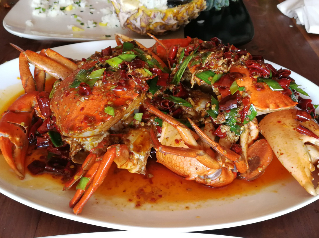 Govista Lanka Tours-Dankotuwa必去景点