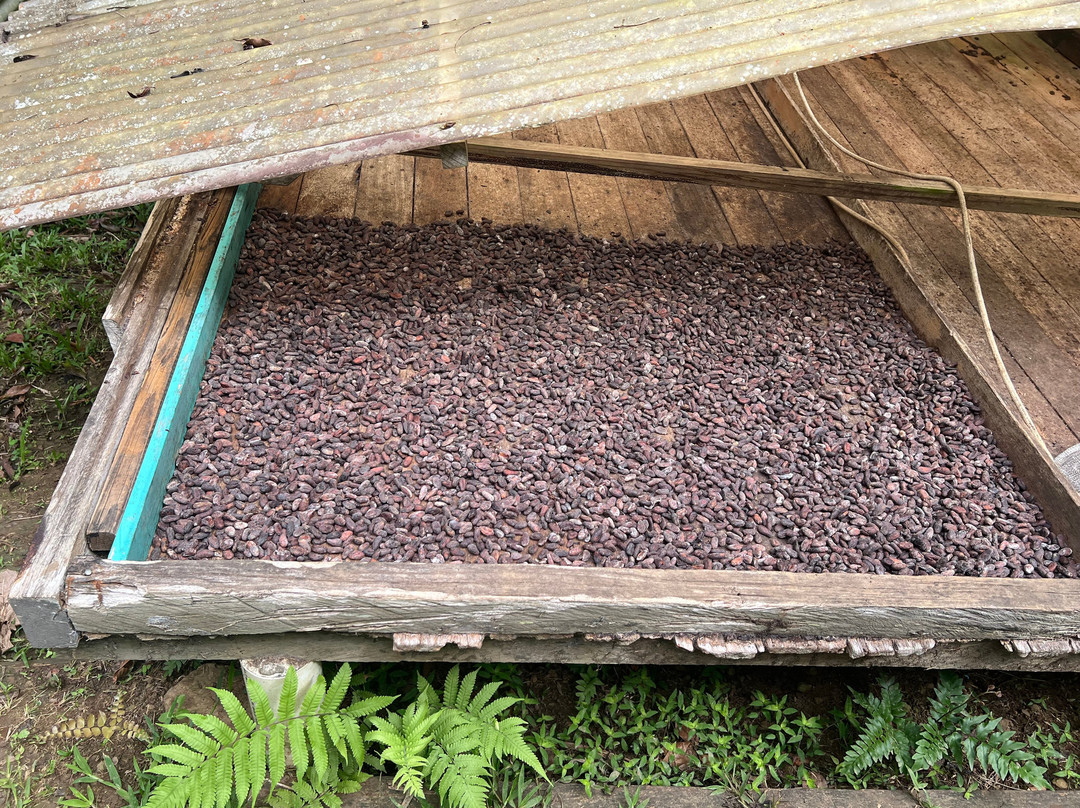 Green Acres Chocolate Farm and Nature Preserve-Cerro Brujo必去景点