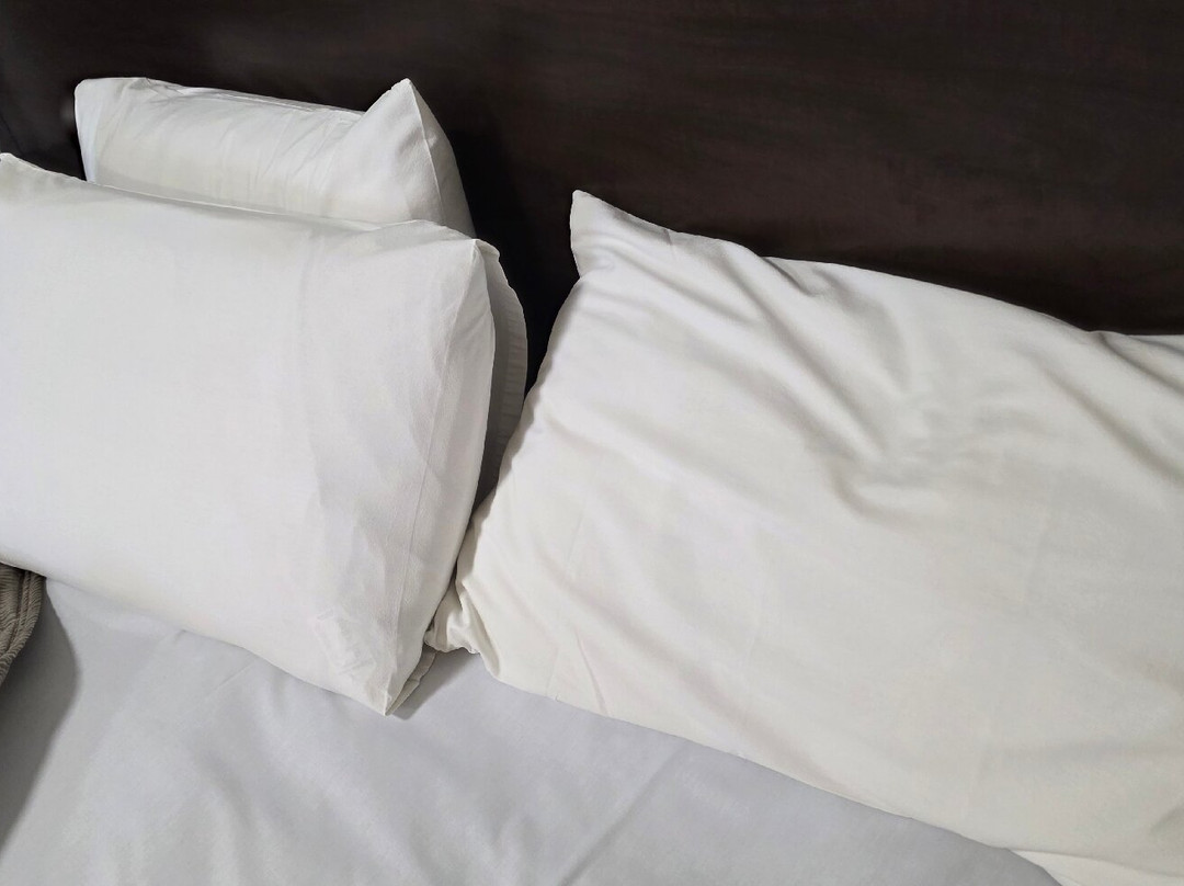 Willows Motel Goulburn主图