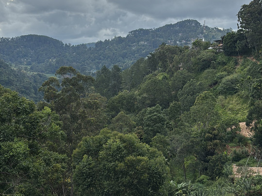 R.N Focus Tours-Katana必去景点