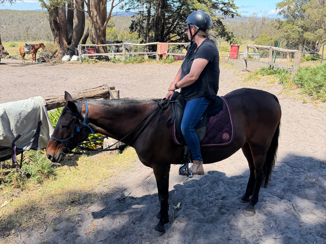 Horse Riding Tasmania-Woodsdale必去景点
