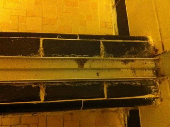 The Garden Villas主图