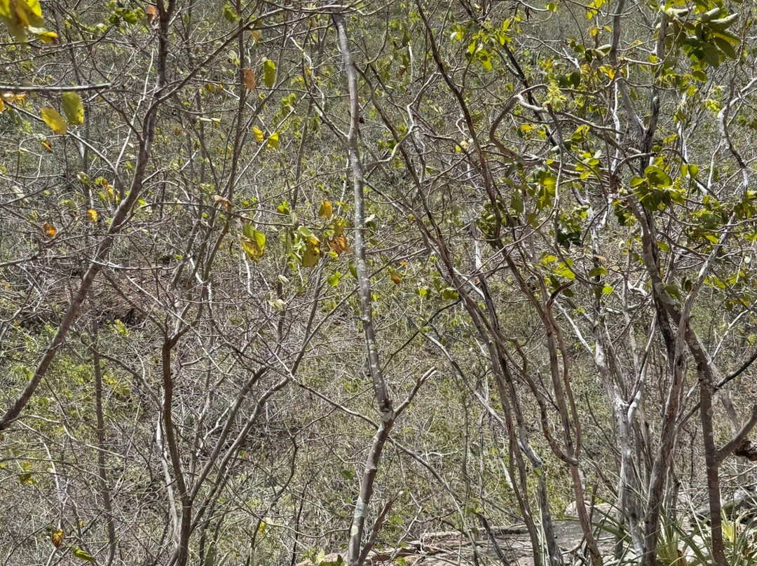 Espaço Ecológico Angicos-Piranhas必去景点