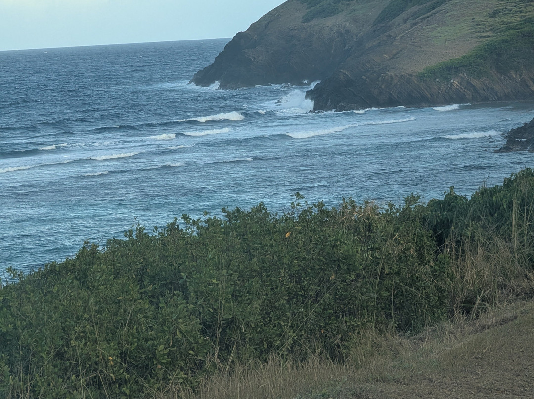 J&t Adventure-Frederiksted必去景点