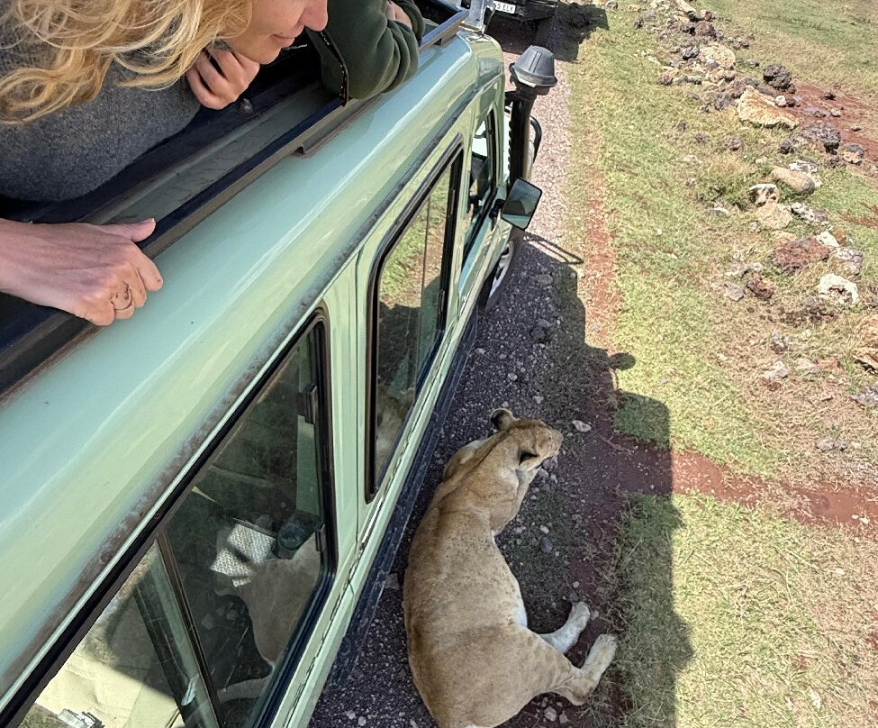 Dolphin Tours & Safaris Ltd-姆万扎必去景点