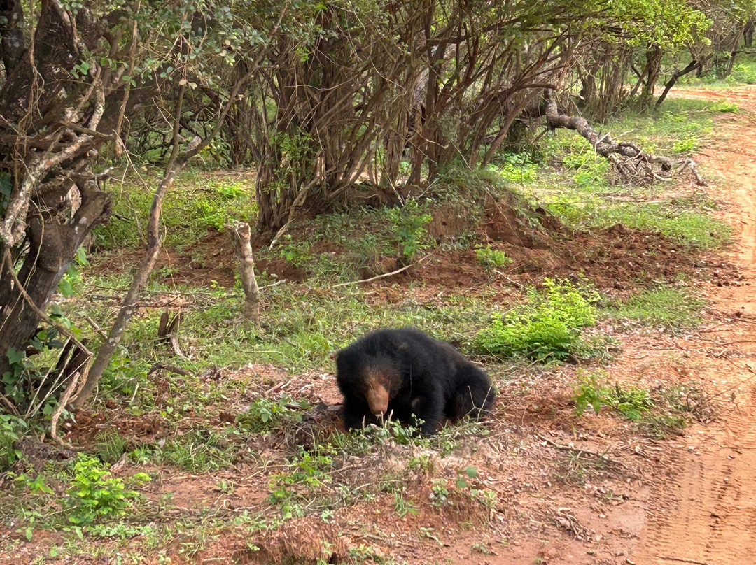 Eddy's Expeditions-加勒必去景点