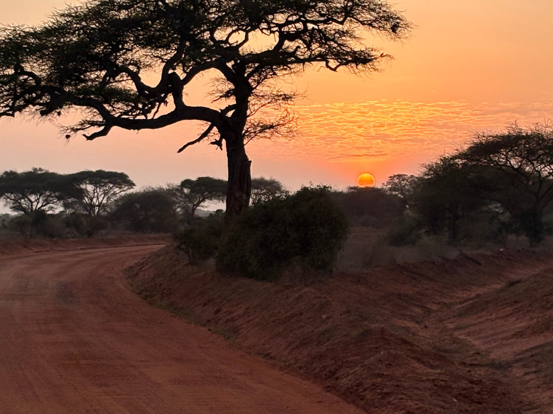 Discovery Kenya con Fragola-瓦塔木必去景点