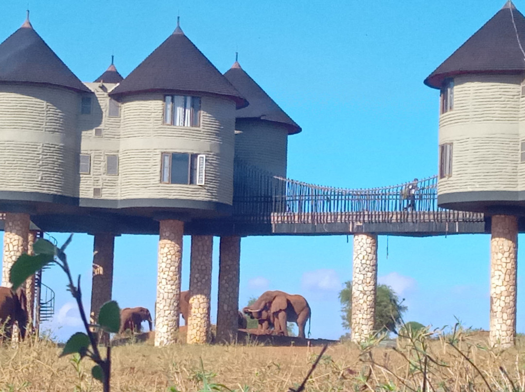 Safari Kenya Plus - Private Day Tour-马林地必去景点