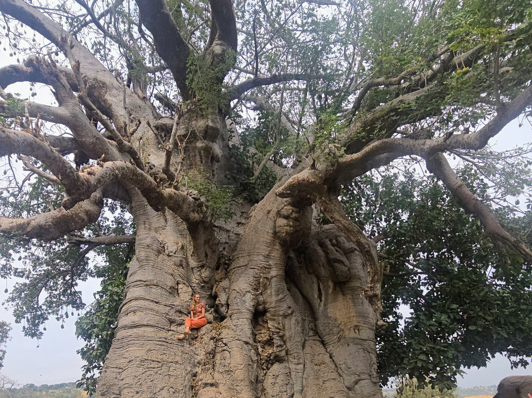 Saliou Diallo - Trekking Guide-Kedougou必去景点