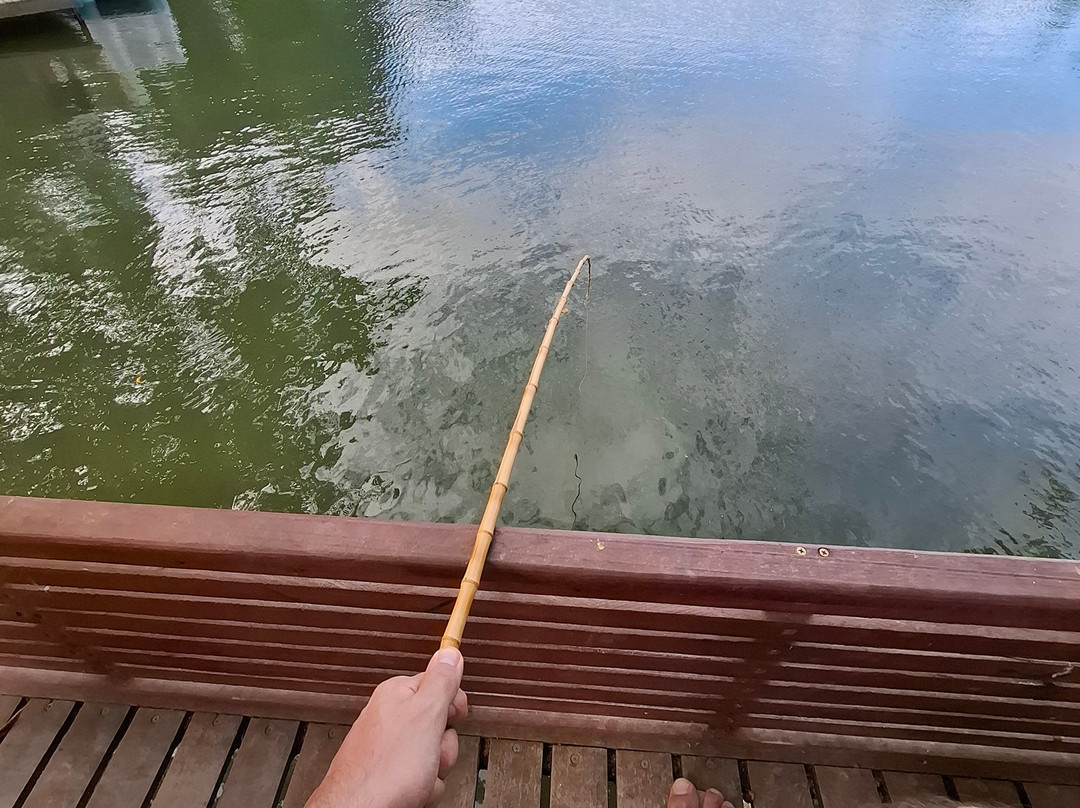 Boaluz Park-Laranjeiras必去景点