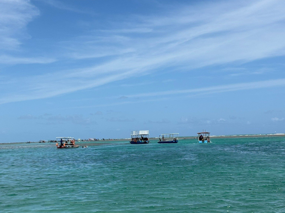 Piscinas Naturais-Sao Miguel dos Milagres必去景点