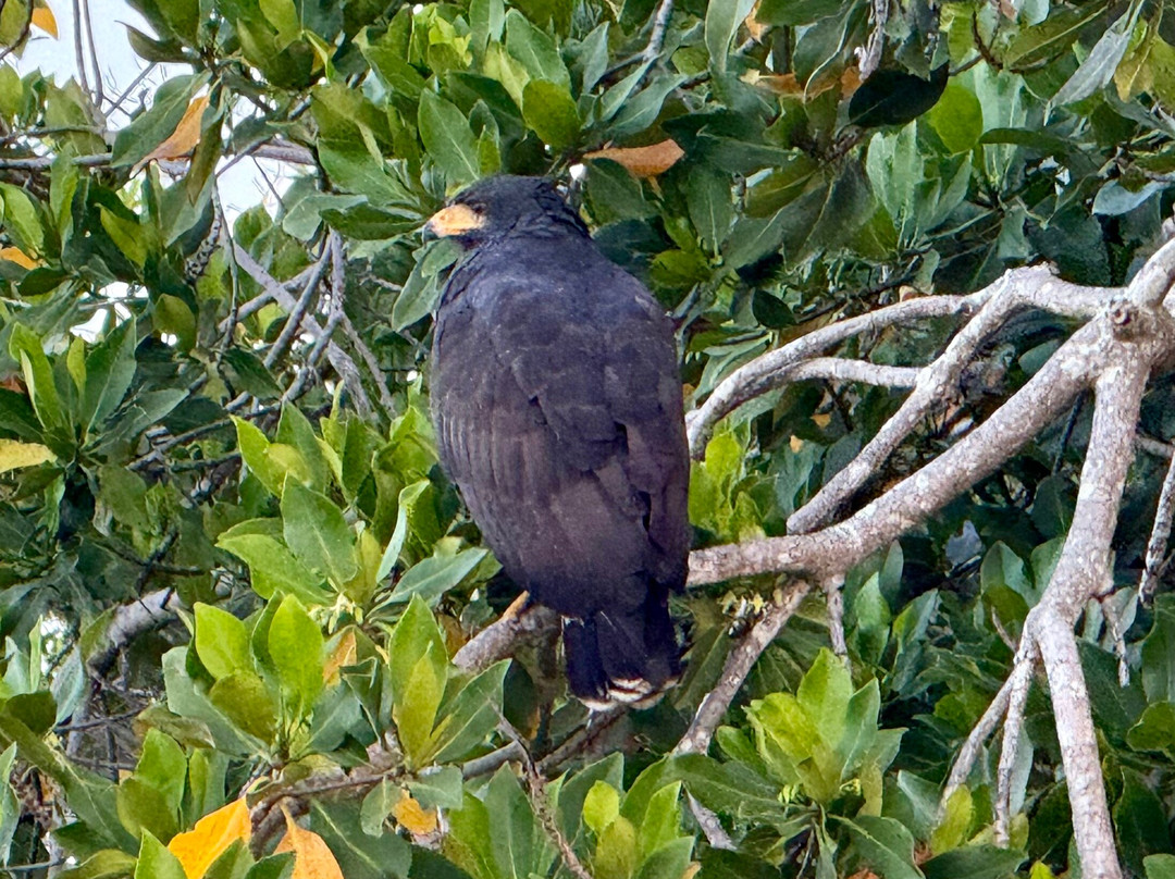Lalo Ecotours-埃斯孔迪多港必去景点