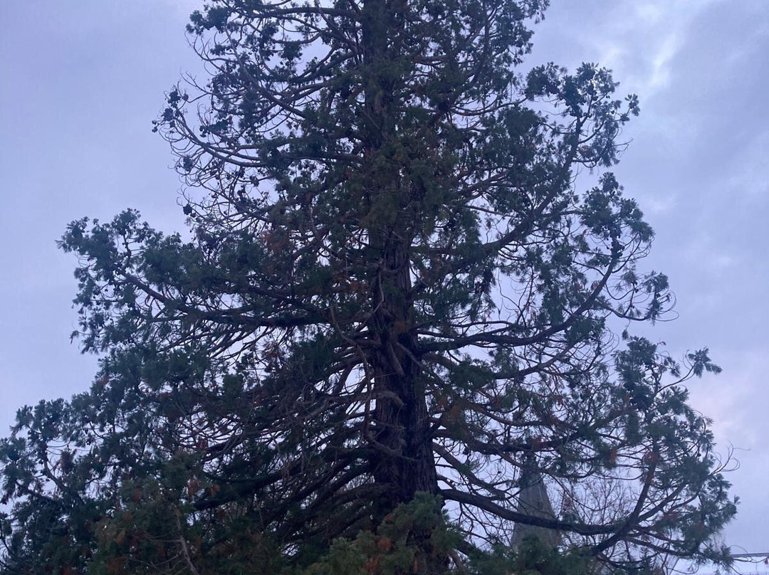 Torre Del Remei主图