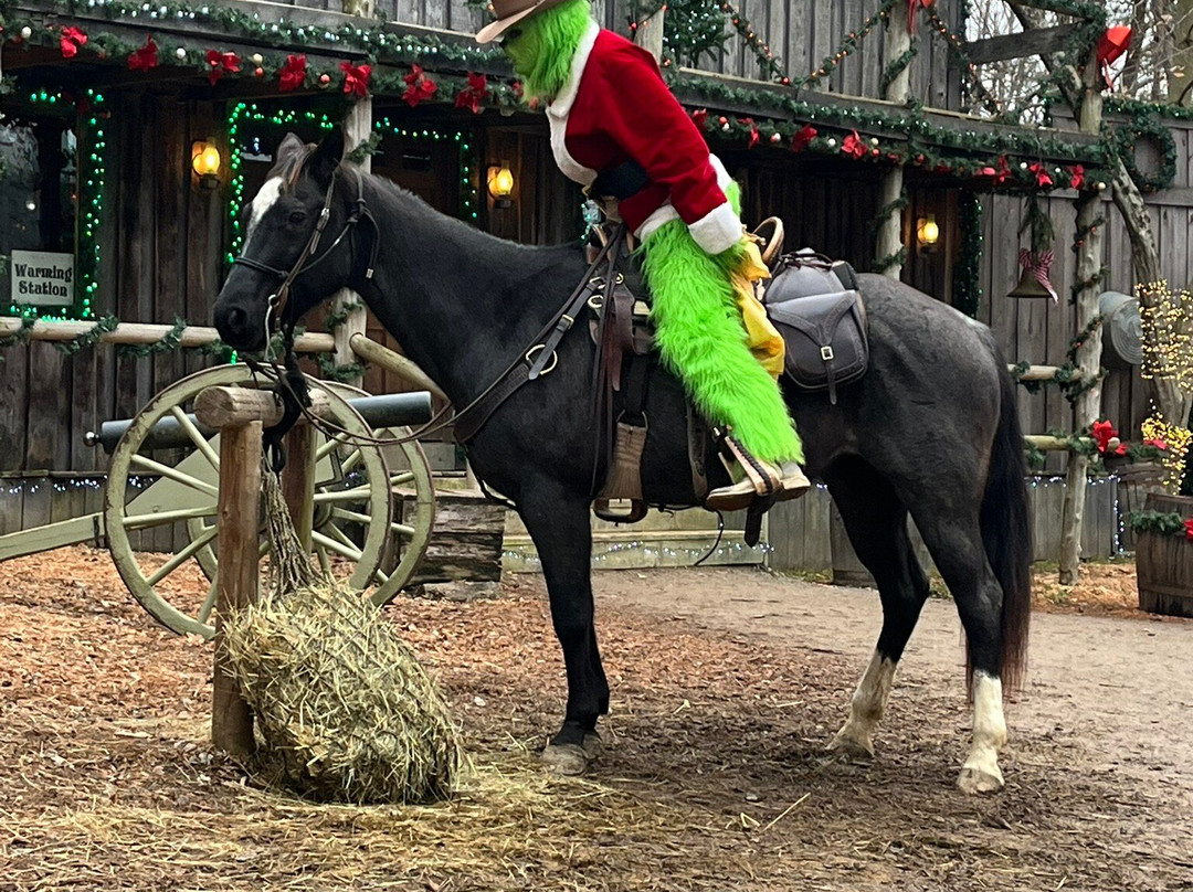 Dogwood Pass-Beaver必去景点