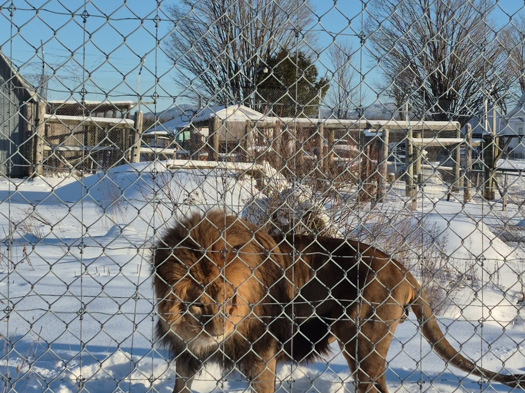 CineZoo-Sainte-Anne-de-la-Rochelle必去景点
