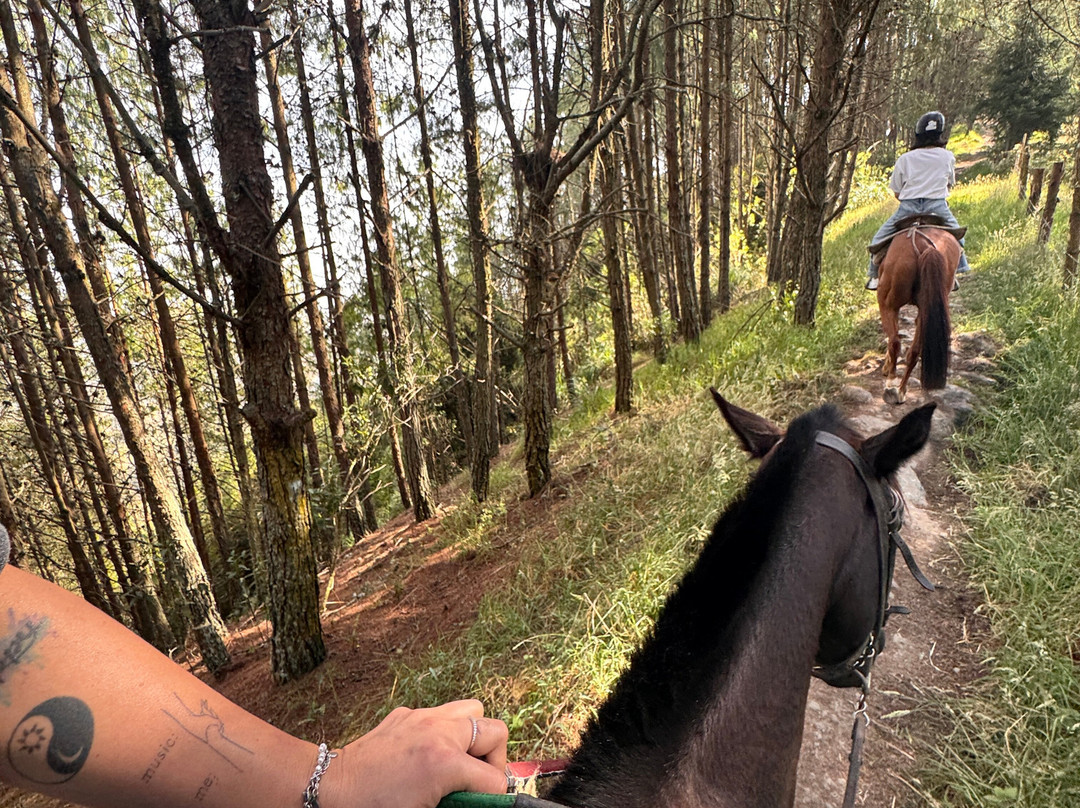 Centro Ecuestre Bellavista-昆卡必去景点