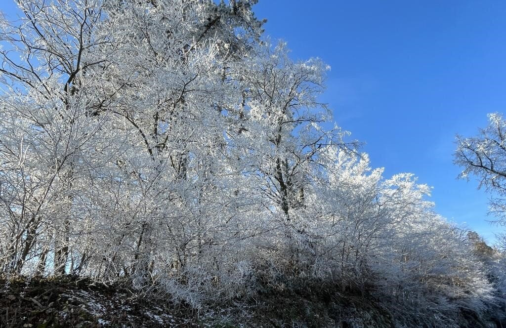 Chateau de Vorbourg-德莱蒙必去景点
