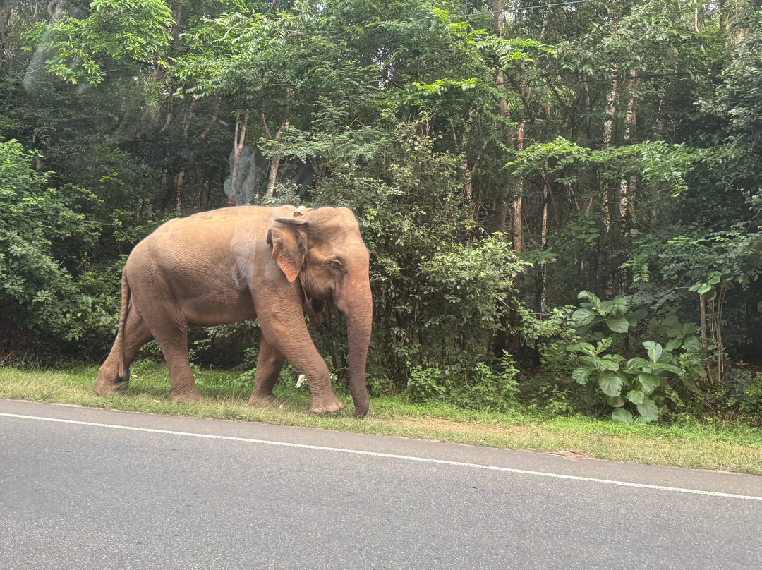 Lets See Asia Travels-Maharagama必去景点