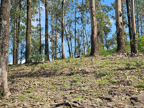 Motorbike tours by Thushan-班托塔必去景点