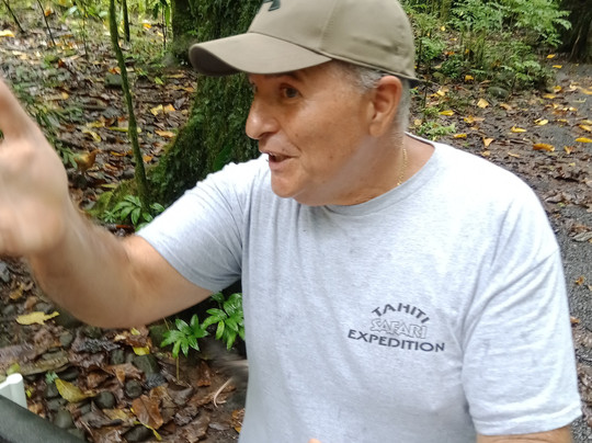 Tahiti Safari Expedition-阿鲁埃必去景点