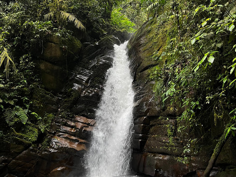 Cocora Magic-萨伦托必去景点