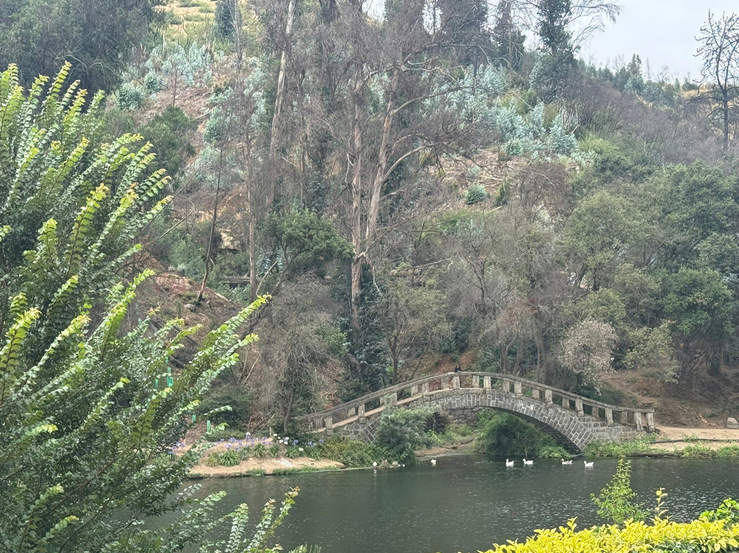 Jardín Botanico Nacional-比尼亚德尔马必去景点