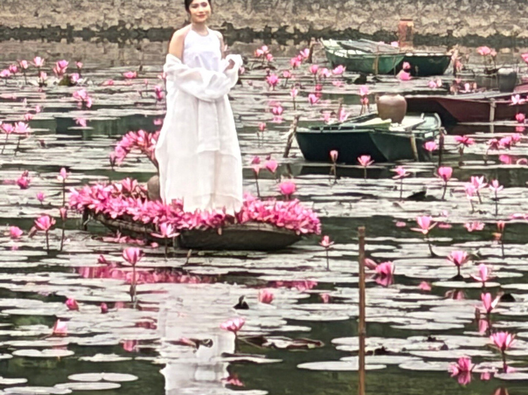 Bich Dong Pagoda-Ninh Hai必去景点