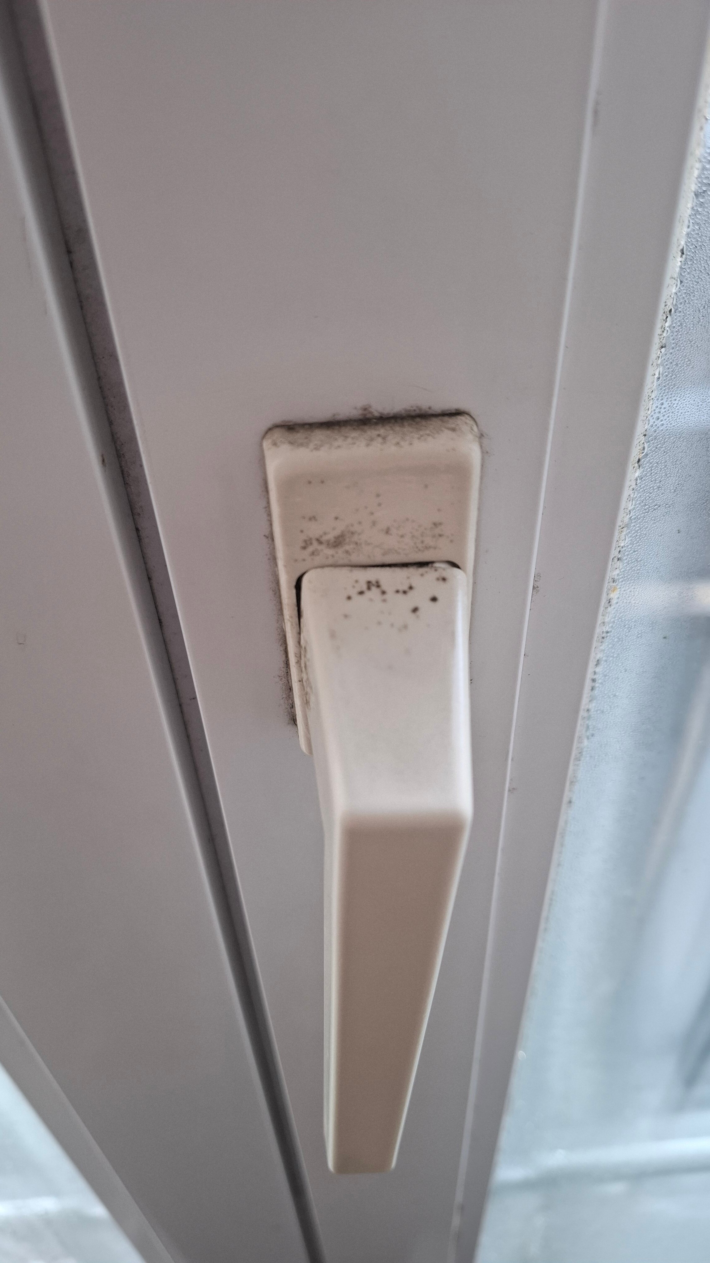 阿扎尔特酒店-官方