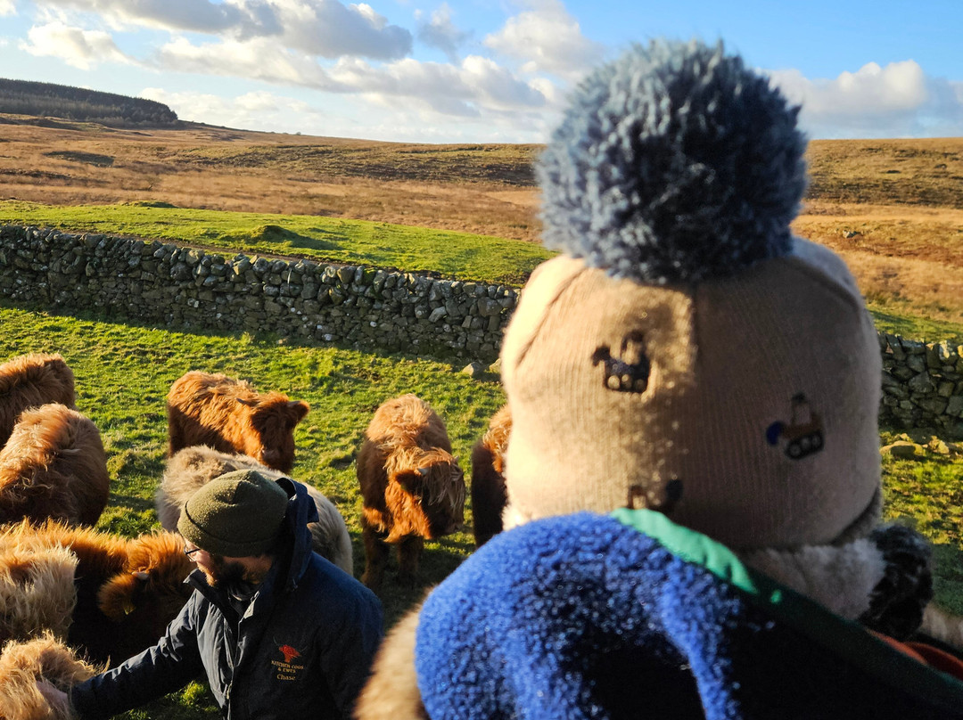 Kitchen Coos & Ewes-New Luce必去景点