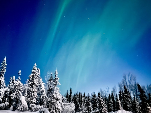 Aufeis Eatery & Tavern + Aurora Viewing-费尔班克斯必去景点