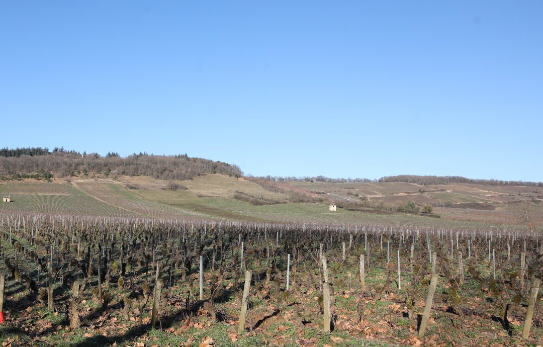 Statue de Notre Dame de Varanges-Givry必去景点