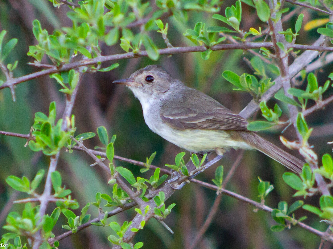 Complejo Costa Alta主图